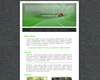 Click thumbnail for preview